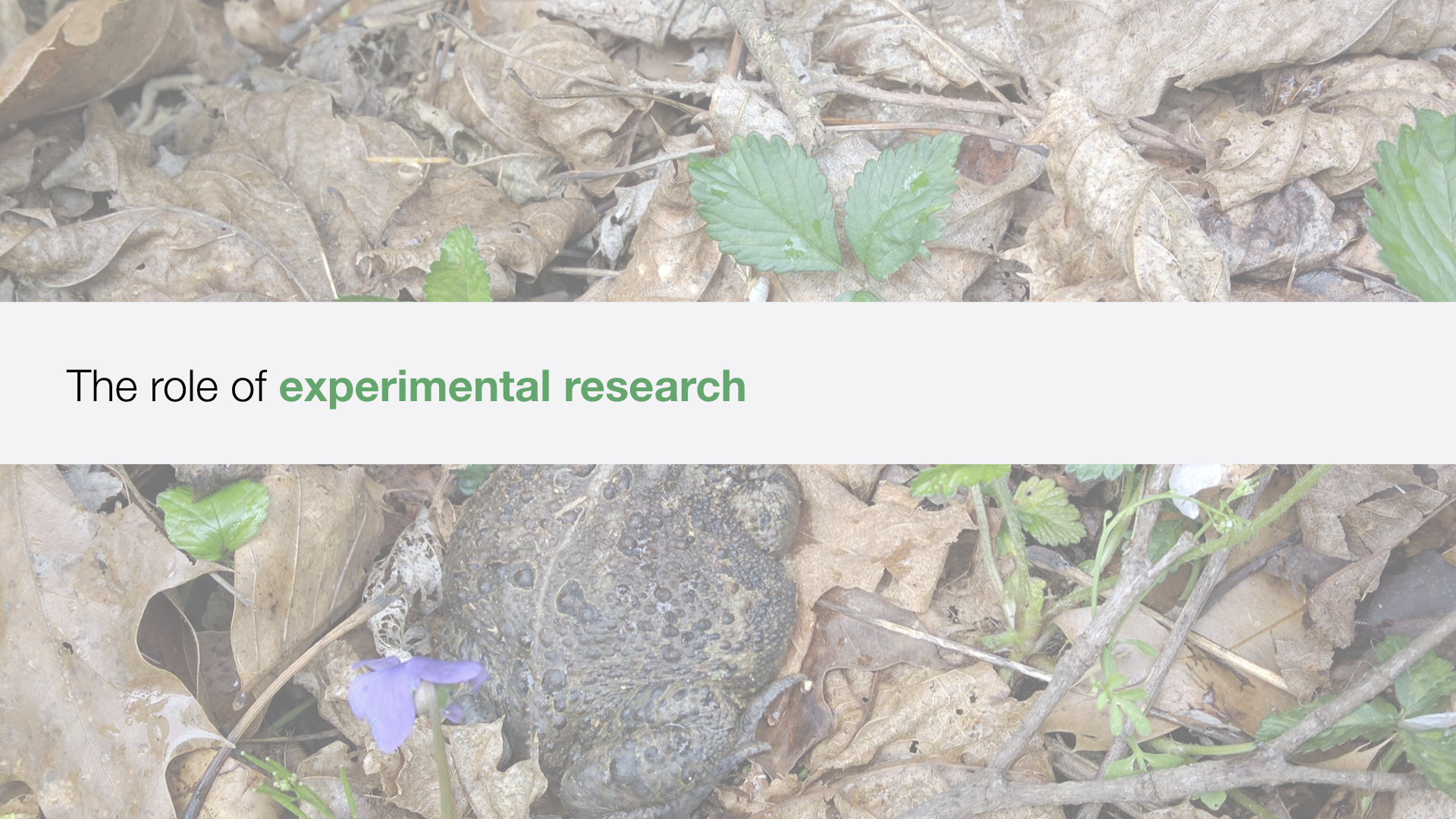 1000 Michelle Graham UPDATED.028