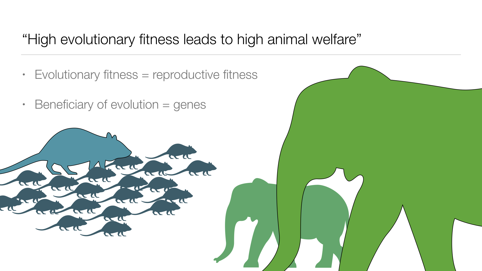 1000 Michelle Graham UPDATED.025