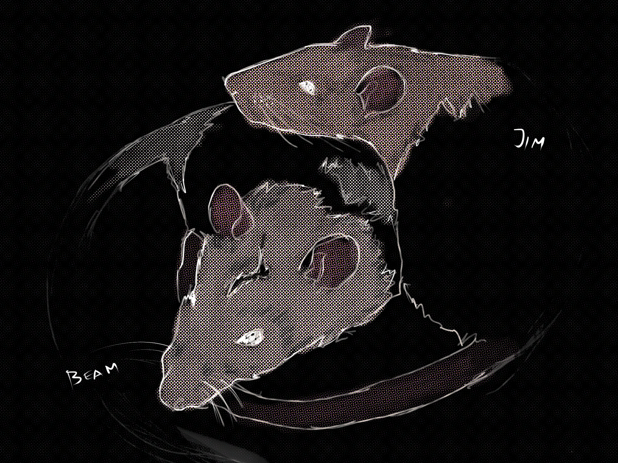 Drawing by Viktoriia Shcherbak of our two rats, Jim and Beam.