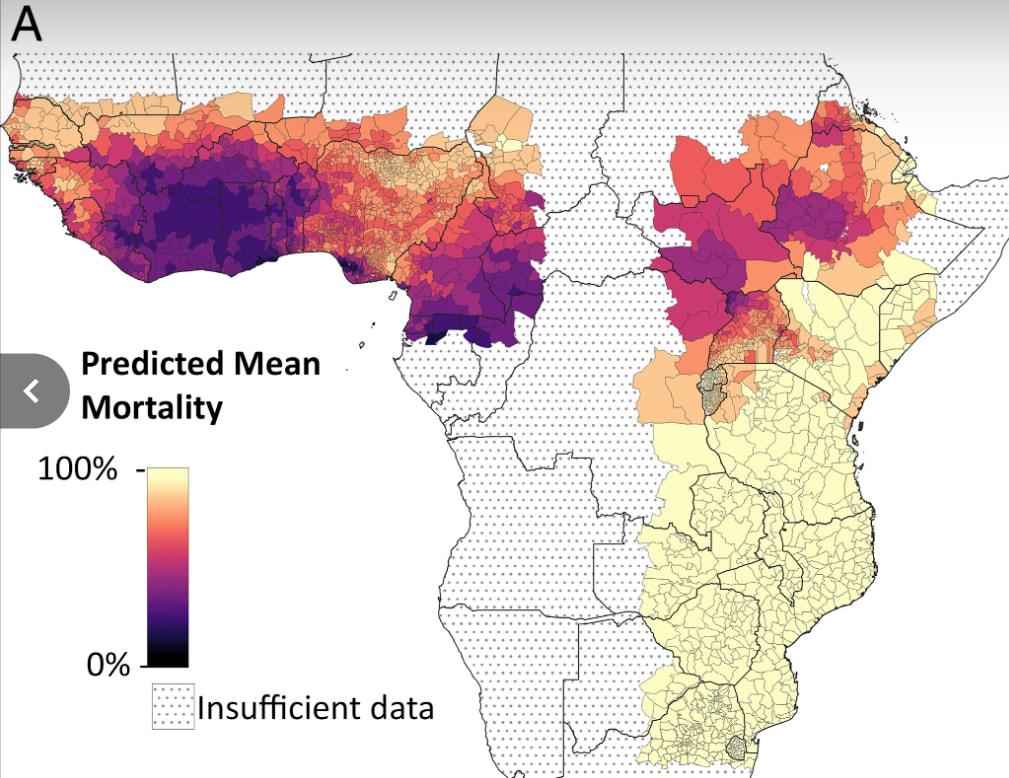Map of Africa with predicted mean mortality output by Bayesian model