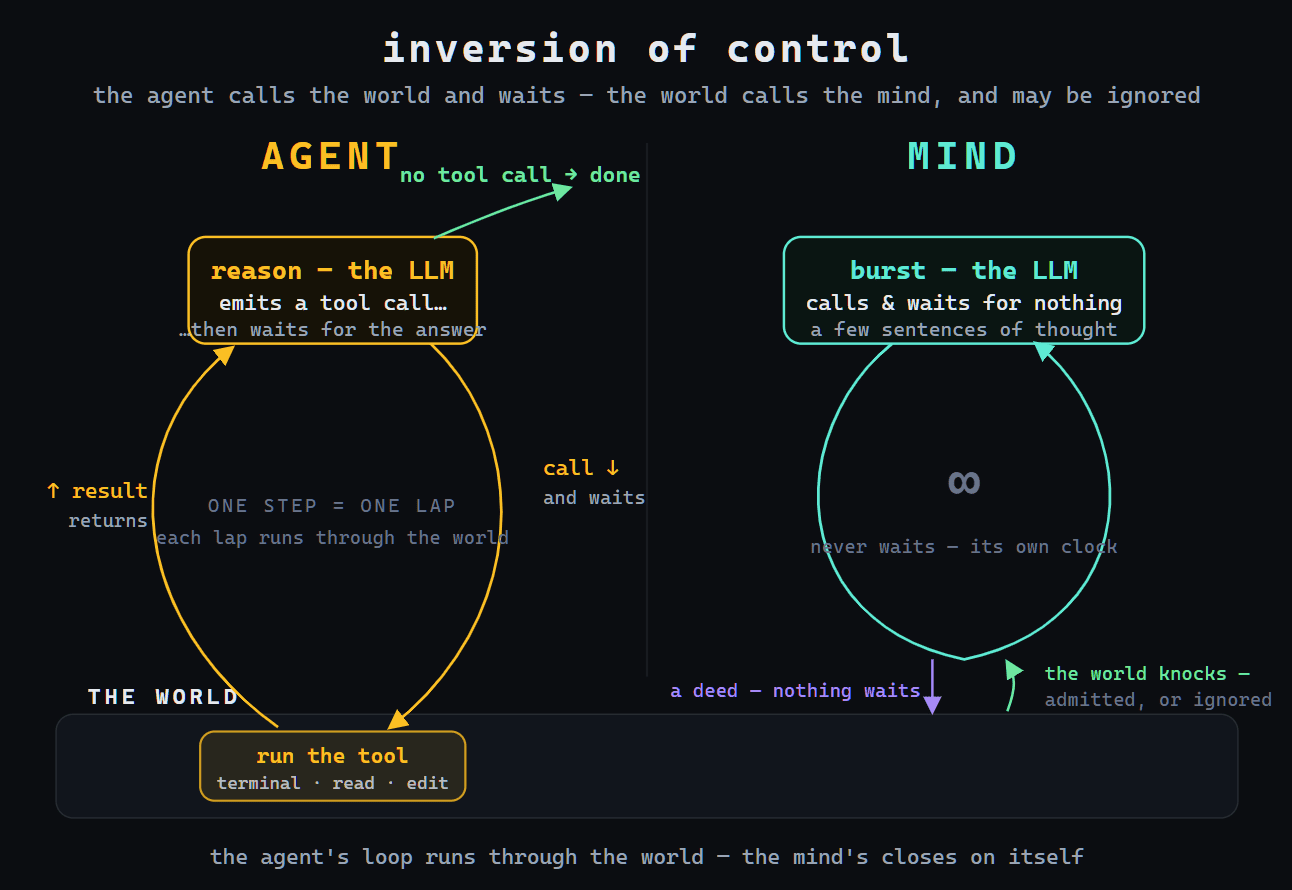 Side-by-side diagram titled "Inversion of Control" comparing two architectures: AGENT (left, gold) and MIND (right, teal), with a shared "THE WORLD" band at the bottom.  Left (AGENT): The loop passes through the world. The LLM reasons and emits tool calls downward into the world, then waits for results to return upward before thinking again. Tools like terminal, read_file, and edit sit inside the world band. Center note: "One step = one lap, and the lap passes through the world." The loop only halts when the model answers with no tool call.  Right (MIND): The loop closes entirely on itself — burst (LLM), frame (context), and boundary (arbiter) cycle continuously without touching the world. Center: an infinity symbol, "Never suspended — it turns on its own clock." Separately, m-act (the realizer) reads the stream backstage and sends deeds into the world without waiting. Results from the world knock back as interrupt-requests queued at the boundary — admitted by salience, or lost.  Bottom caption: "The same machinery, the control reversed. Deeds leave without waiting; answers queue and may never be felt. A model that never waits for the world has no use for seeing tools."