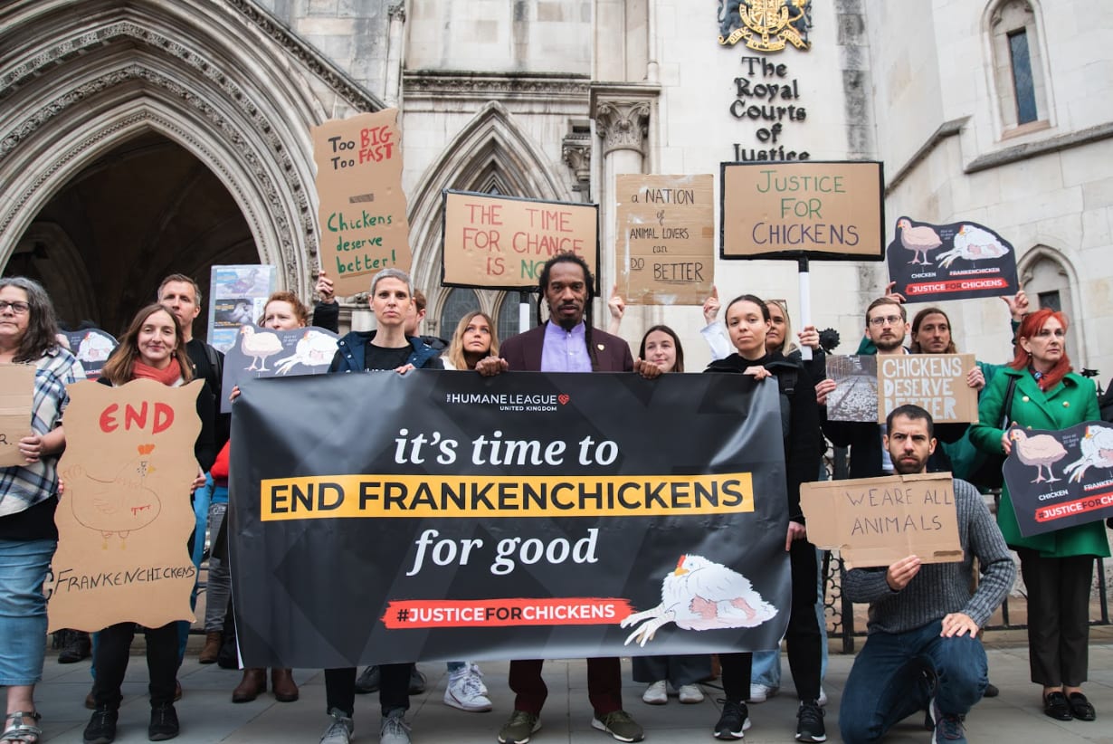 Supporters holding ‘Justice for Chickens’ and ‘End Frankenchickens’ placards outside the High Court