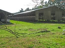 Overview of the Fur Farming Industry - Fur Institute of Canada Fur  Institute of Canada