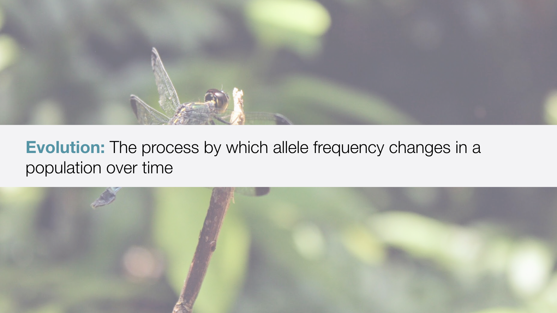 1000 Michelle Graham UPDATED.003