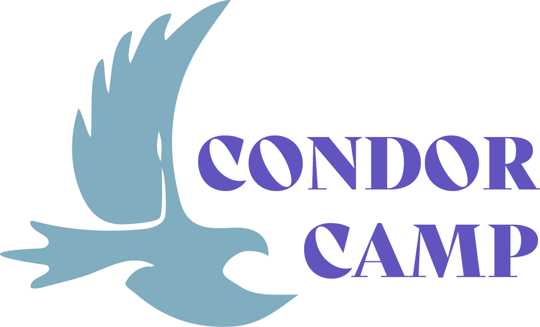 Condor Camp logo