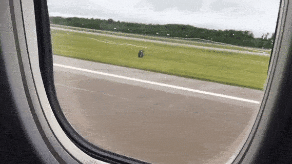 Animated image of the view out the airplane window as it blasts down the runway.