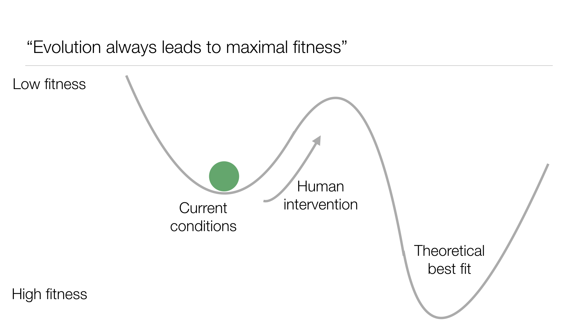 1000 Michelle Graham UPDATED.024