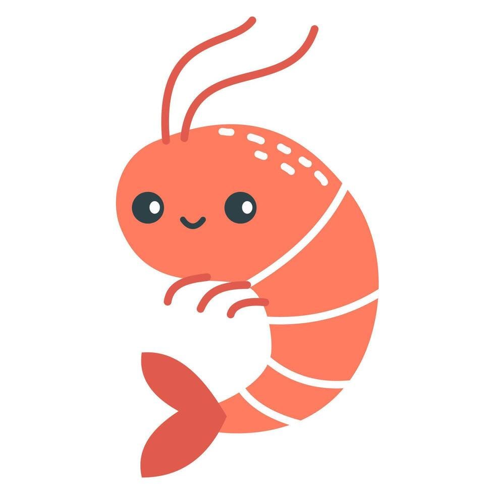 Cute Shrimp Vector Art, Icons, and Graphics for Free Download