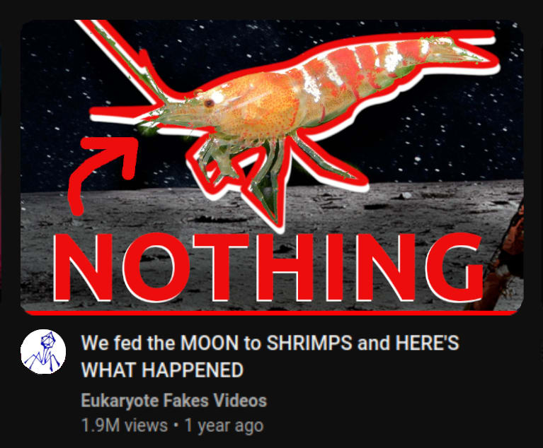 "We fed the MOON to SHRIMPS and HERE