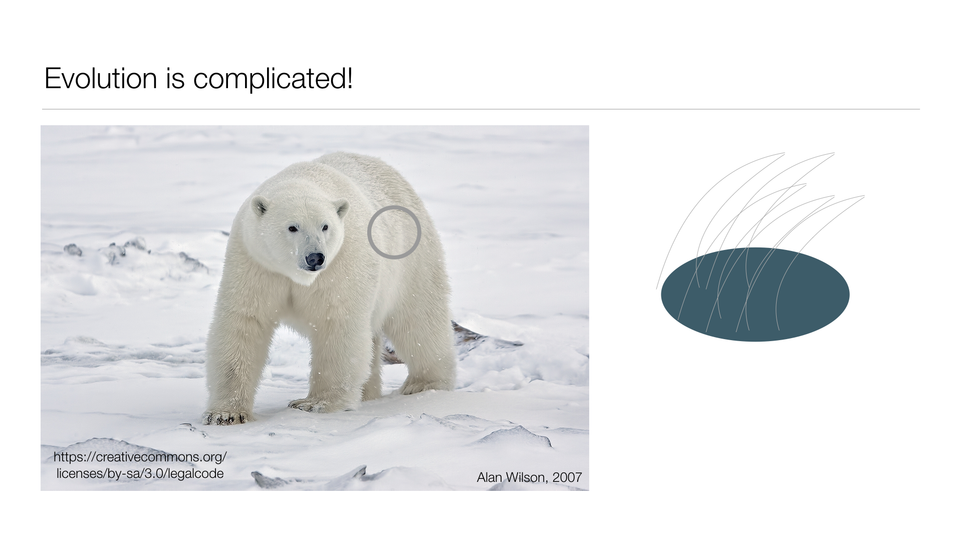 1000 Michelle Graham UPDATED.029