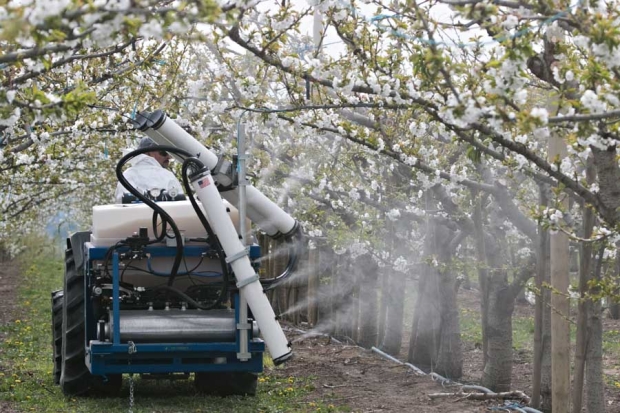 Juan Farias drives a spray rig outfitted with test equipment for the application of pollination in a cherry block in the Prosser, Washington on March 3, 2015. <b>(TJ Mullinax/Good Fruit Grower)</b>