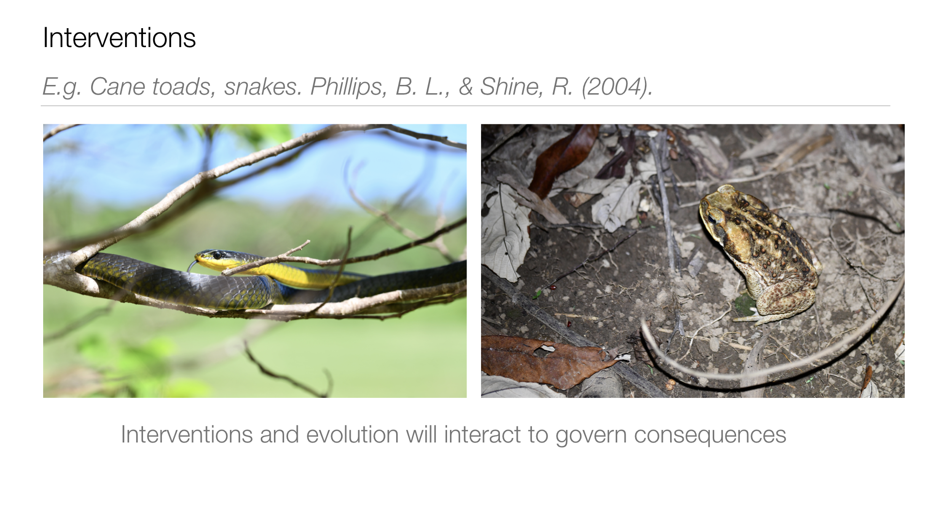 1000 Michelle Graham UPDATED.016