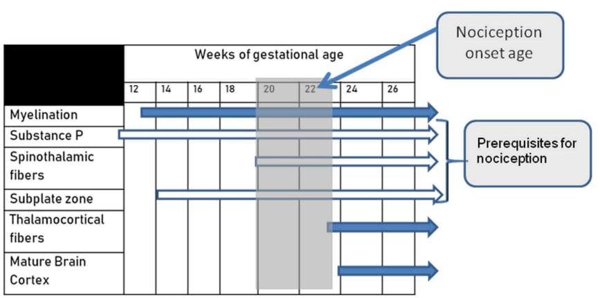 A diagram of a graph

Description automatically generated with medium confidence