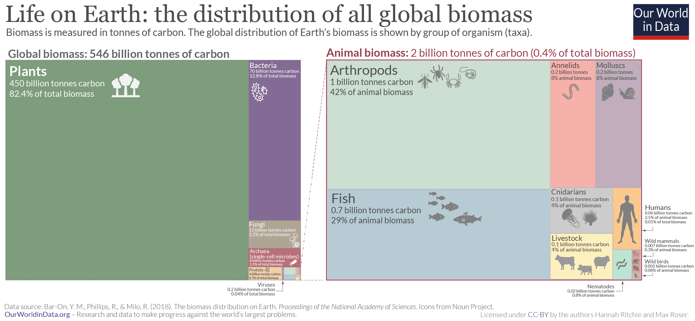 Life on Earth: the distribution of all global biomass