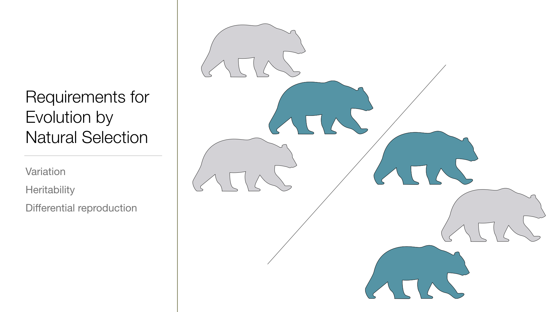 1000 Michelle Graham UPDATED.009