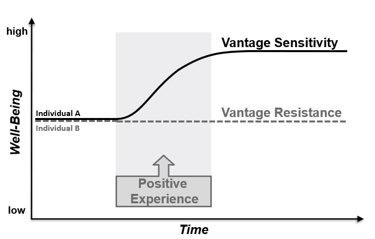 Figure 1. Graphical illustration of vantage sensitivity; in response to a positive exposure, the level of functioning increases in Individual A, reflecting vantage sensitivity, whereas it remains unchanged in Individual B, reflecting vantage resistance.