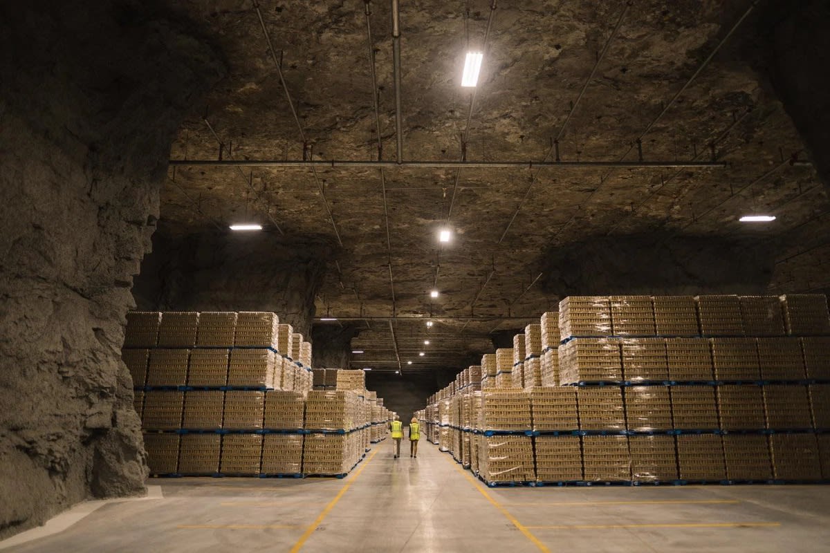 Aisle of a vast underground cheese storage cave lined with shelves of cheese.