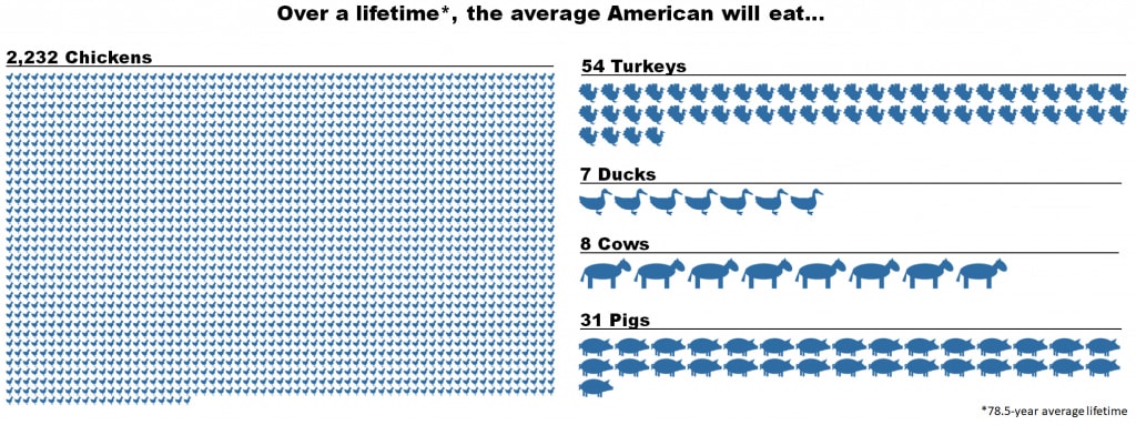 Just how many animals do Americans eat? And how many would you save by  going meatless one day a week? - EnvironMath!