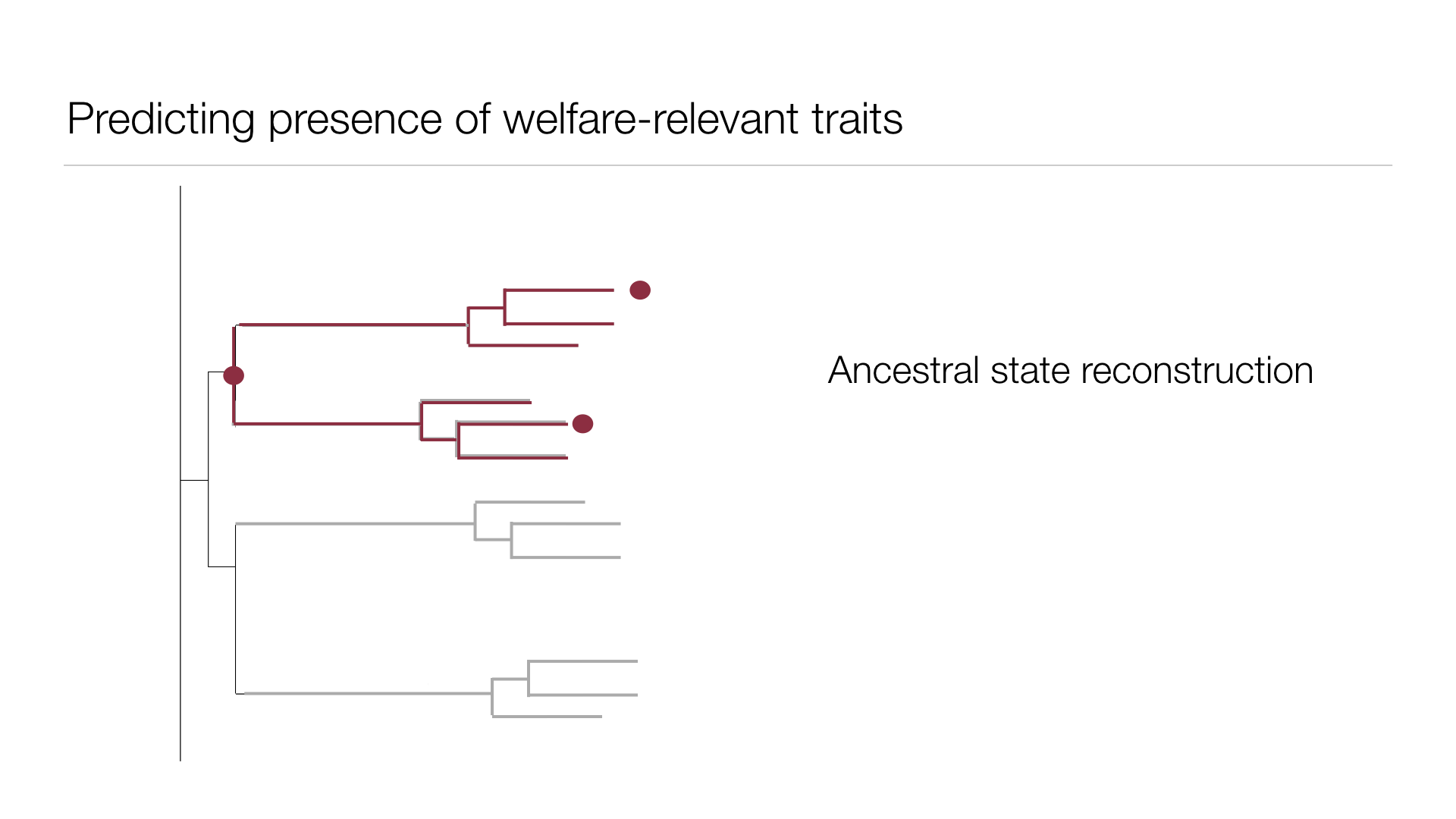 1000 Michelle Graham UPDATED.014