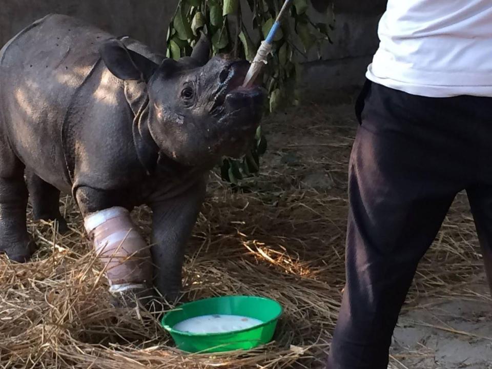 1100 Oscar Horta (13)