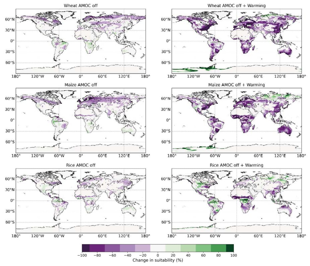 AMOC Crop Impacts